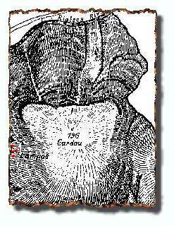 Graphisme du Cardou sur carte Boudet